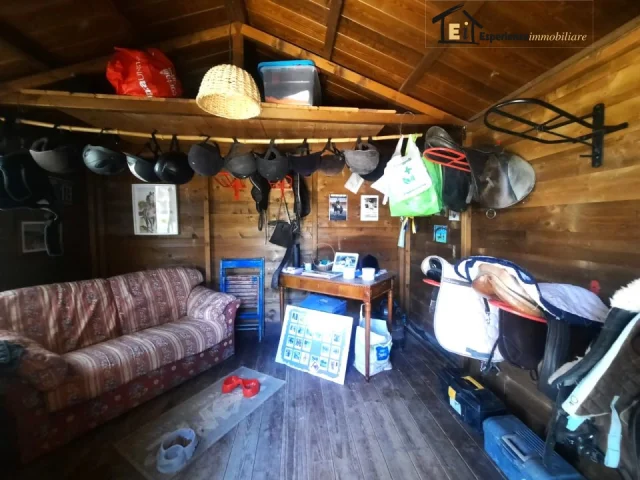 Appartamenti in Vendita - Terreno con maneggio