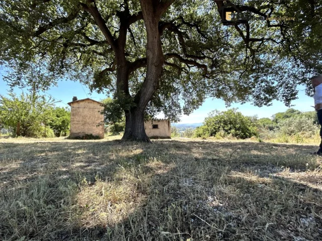 Casale da ristrutturare con terreno
