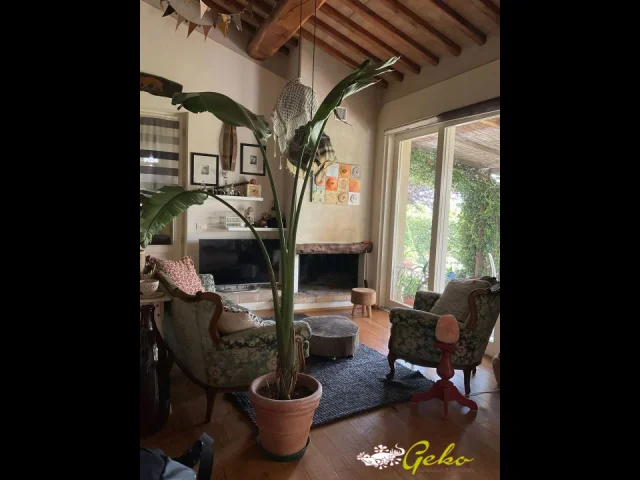 Appartamenti in Vendita - Bellissima villa indipendente in campagna con giardino  privato !