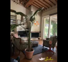 Appartamenti in Vendita - Bellissima villa indipendente in campagna con giardino  privato !