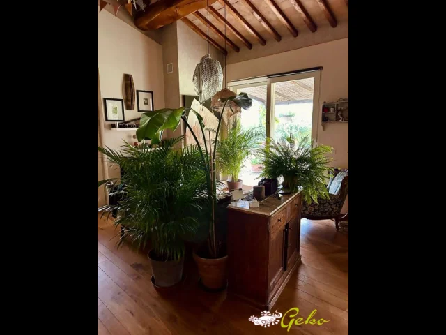 Appartamenti in Vendita - Bellissima villa indipendente in campagna con giardino  privato !