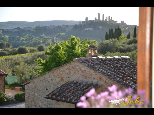 Appartamenti in Vendita - Appartamento 71 mq con giardino e piscina