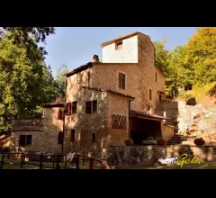 Casale in campagna a san gimignano 370 mq con parco verde di  3 ettari