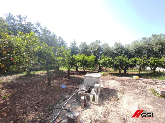 Appartamenti in Vendita - Rusticolo con giardino a 7 km dalla spiaggia