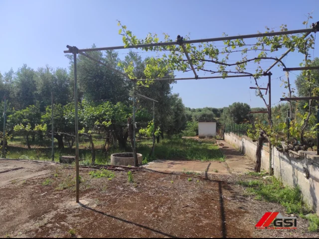 Appartamenti in Vendita - Rusticolo con giardino a 7 km dalla spiaggia