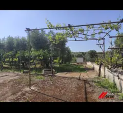 Appartamenti in Vendita - Rusticolo con giardino a 7 km dalla spiaggia
