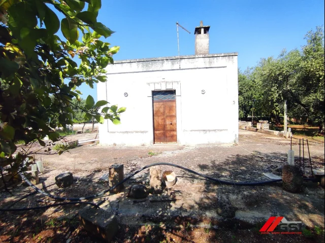 Appartamenti in Vendita - Rusticolo con giardino a 7 km dalla spiaggia