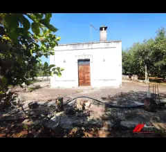 Appartamenti in Vendita - Rusticolo con giardino a 7 km dalla spiaggia