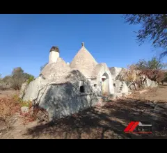 Due gruppi di trulli autentici con ampio terreno