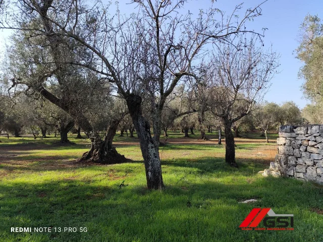 Appartamenti in Vendita - Vendesi trullo tipico da ristrutturare