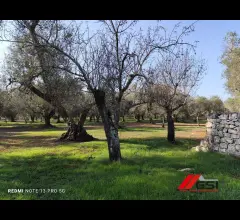 Appartamenti in Vendita - Vendesi trullo tipico da ristrutturare