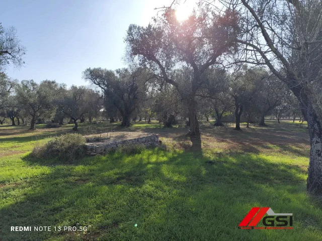 Appartamenti in Vendita - Vendesi trullo tipico da ristrutturare
