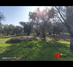 Appartamenti in Vendita - Vendesi trullo tipico da ristrutturare