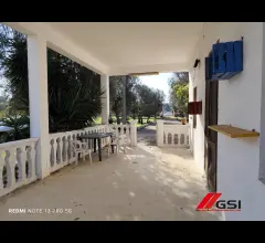 Appartamenti in Vendita - Vendesi abitazione con trullo