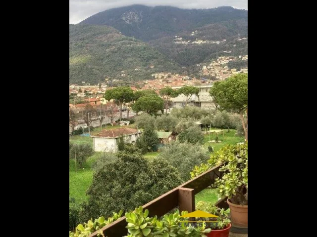 Appartamenti in Vendita - Appartamento in vendita a massa centro