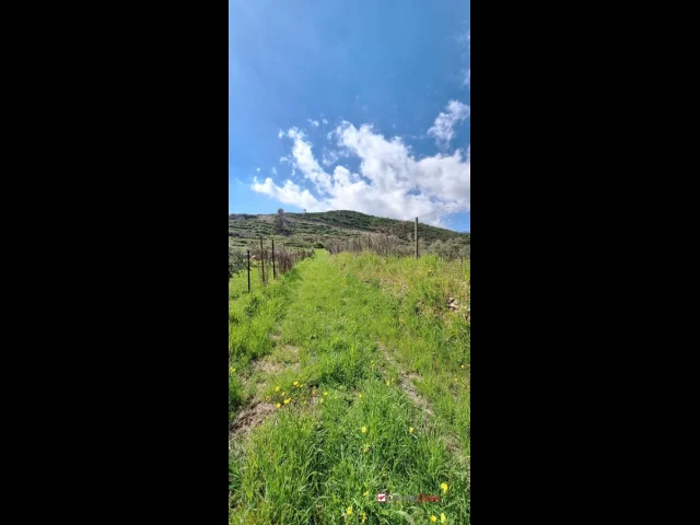 Appartamenti in Vendita - Camaro, panoramico e pianeggiante terreno con deposito