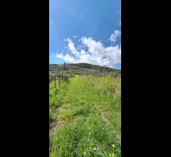 Appartamenti in Vendita - Camaro, panoramico e pianeggiante terreno con deposito