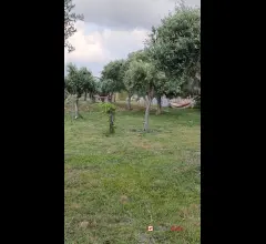 Appartamenti in Vendita - Camaro, panoramico e pianeggiante terreno con deposito