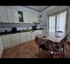 Appartamenti in Vendita - Camera zona contesse per studentessa/lavoratrice
