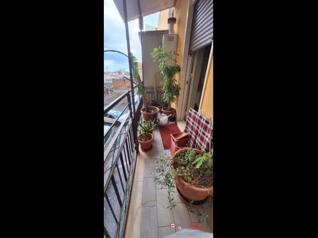 Appartamenti in Vendita - Via catania,provinciale,ampio bivani in buone condizioni