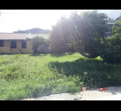 Appartamenti in Vendita - Zafferia, casa indipendente con terreno