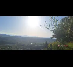 Appartamenti in Vendita - Roccavaldina, terreno agricolo pianeggiante circa 2400 mq