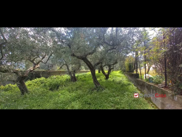 Appartamenti in Vendita - Pianotorre, panoramico terreno con rudere
