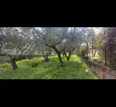 Pianotorre, panoramico terreno con rudere