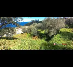 Appartamenti in Vendita - Pianotorre, panoramico terreno con rudere