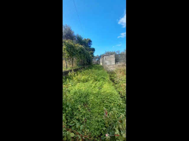 Appartamenti in Vendita - Pianotorre, panoramico terreno con rudere