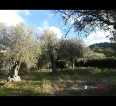 Appartamenti in Vendita - Sparta' casetta da ristrutturare con terreno rif. vs287