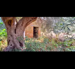 Appartamenti in Vendita - Spartà,pressi s.s.113 ampio rudere e terreno circostante