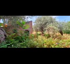 Appartamenti in Vendita - Spartà,pressi s.s.113 ampio rudere e terreno circostante