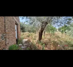 Appartamenti in Vendita - Spartà,pressi s.s.113 ampio rudere e terreno circostante