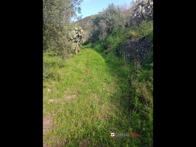 Appartamenti in Vendita - Piano torre, ampio terreno e fabbricato