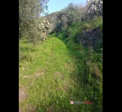 Appartamenti in Vendita - Piano torre, ampio terreno e fabbricato