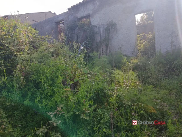 Appartamenti in Vendita - Piano torre, ampio terreno e fabbricato