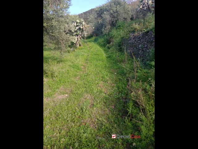Appartamenti in Vendita - Piano torre, ampio terreno e fabbricato