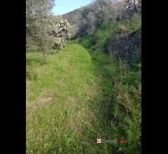 Appartamenti in Vendita - Piano torre, ampio terreno e fabbricato