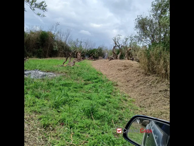 Appartamenti in Vendita - Ortoliuzzo, terreno agricolo