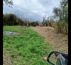 Appartamenti in Vendita - Ortoliuzzo, terreno agricolo