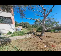 Appartamenti in Vendita - Camaro superiore,terreno pianeggiante di circa 1900 mq