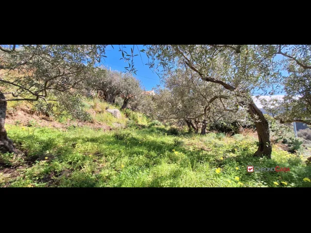 Rodia, terreno agricolo di circa 1000 mq
