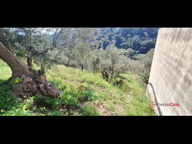 Appartamenti in Vendita - Rodia, terreno agricolo di circa 1000 mq