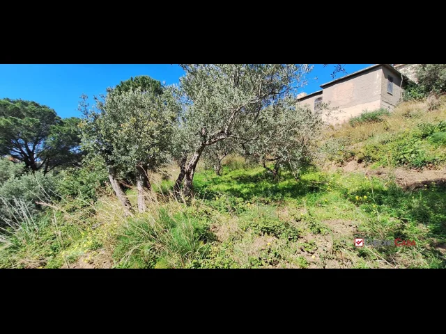 Appartamenti in Vendita - Rodia, terreno agricolo di circa 1000 mq