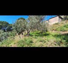 Appartamenti in Vendita - Rodia, terreno agricolo di circa 1000 mq