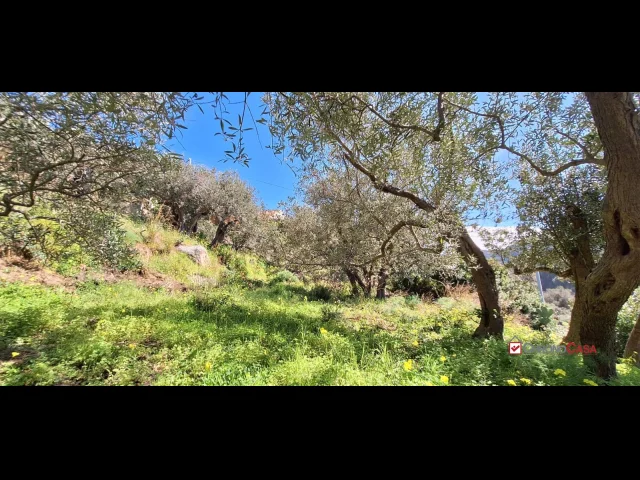 Appartamenti in Vendita - Rodia, terreno agricolo di circa 1000 mq