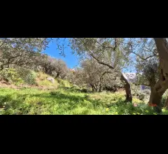 Appartamenti in Vendita - Rodia, terreno agricolo di circa 1000 mq
