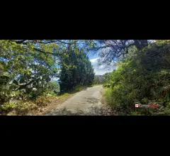 Appartamenti in Vendita - Barcellona p.g,terreno di 3000 mq con deposito di circa 40mq