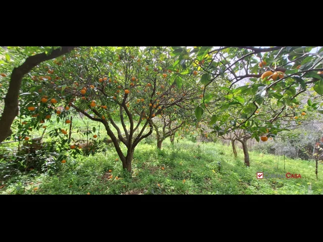 Rometta, funzionale terreno agricolo terrazzato